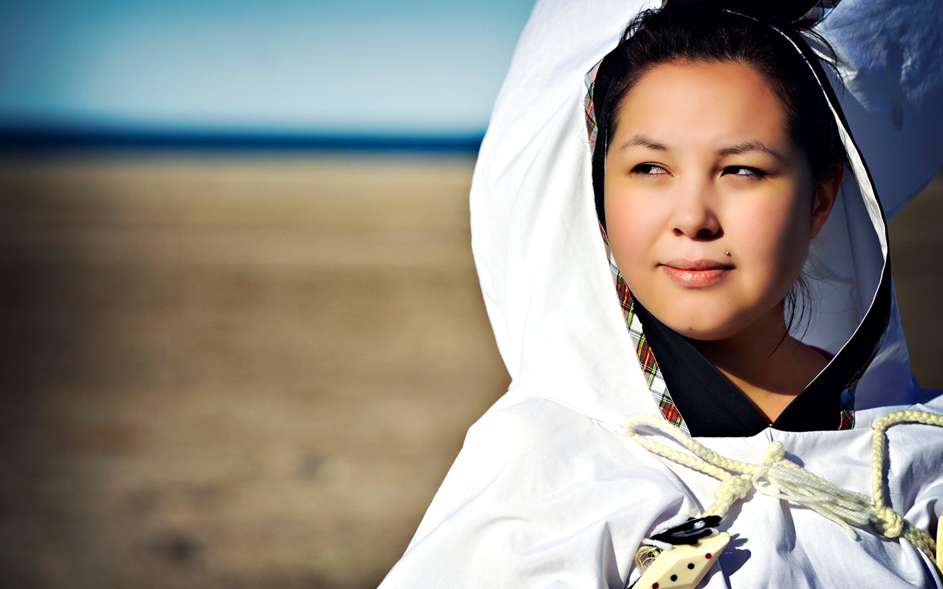 Nunavut cultural landscape from the source website