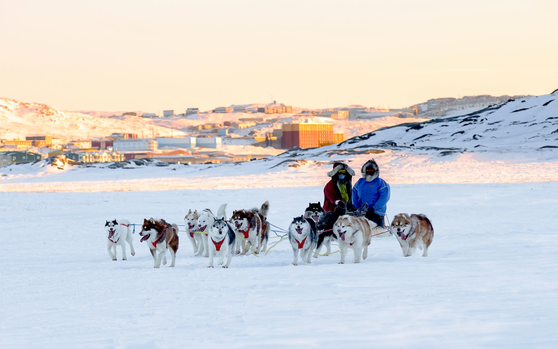 Dog team in Iqaluit